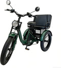 Tricycle Électrique Adulte 750W, Cadre Renforcé en Acier, Freins à Disque, Suspension Hydraulique, Idéal pour Seniors et Ville