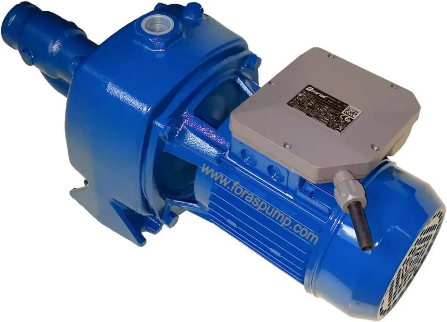 Pompe Centrifuge Auto-amorçante FORAS JA300 2,6 kW, Débit 140 l/min, Hauteur 64,5 m, Fabrication Italienne, 230 V